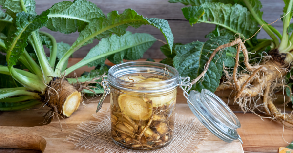 Protected: Teasel Root